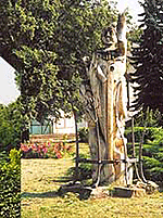 Setk&aacute;n&iacute;